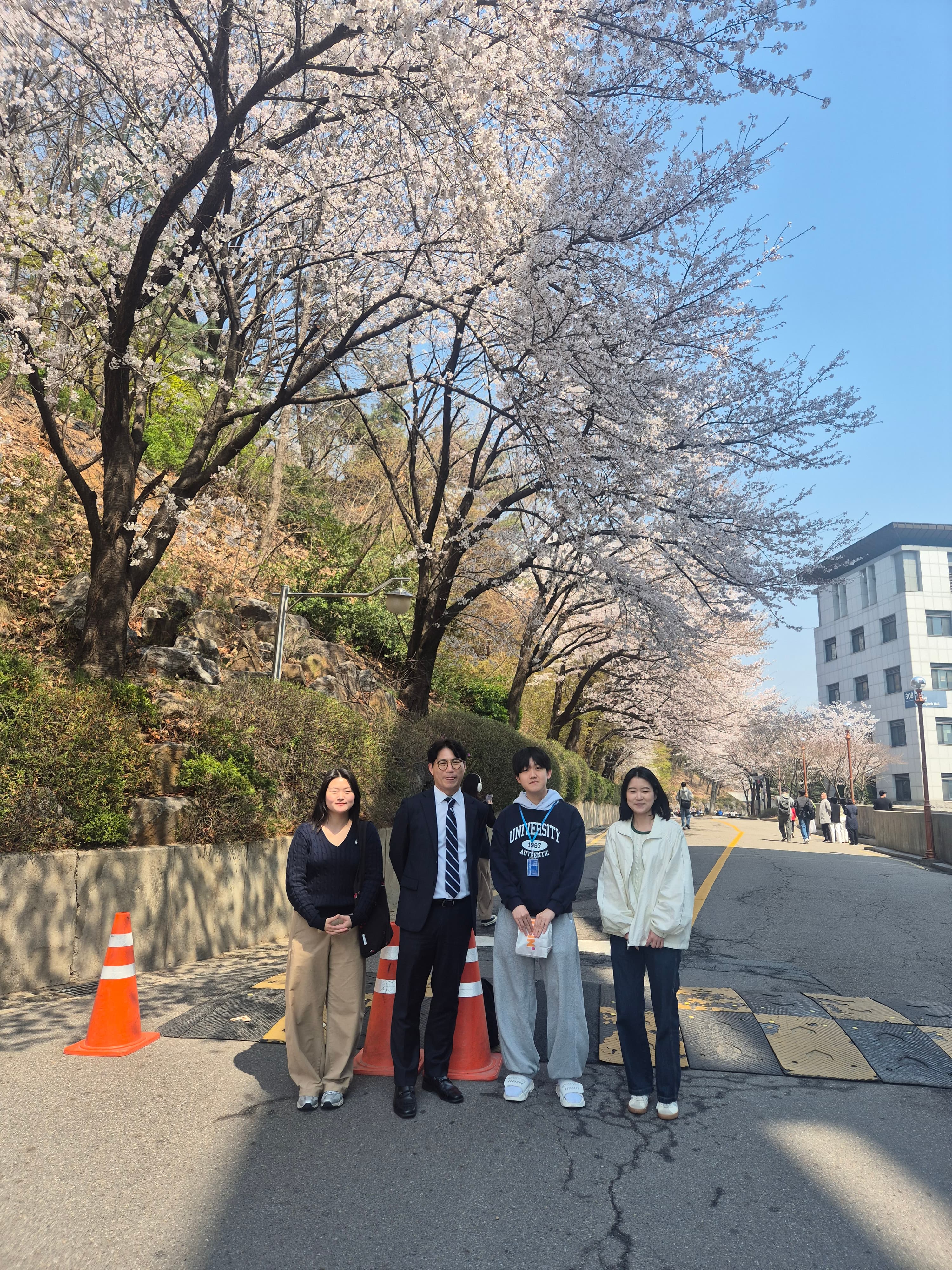연세대학교 캠퍼스 벚꽃 나들이 3