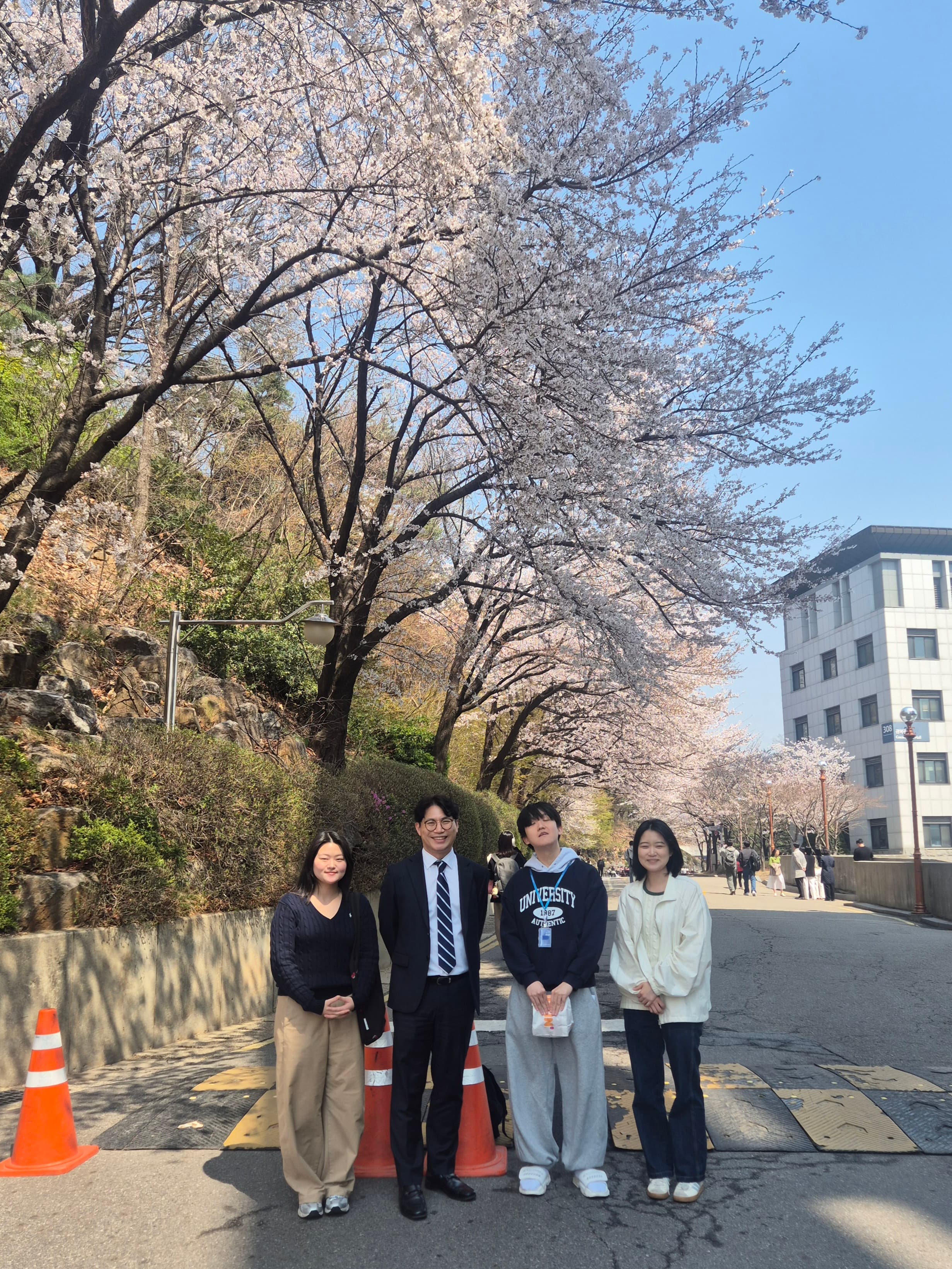 연세대학교 캠퍼스 벚꽃 나들이 2